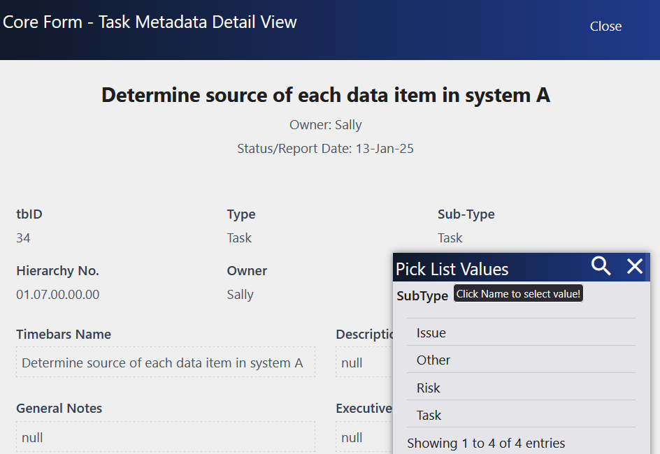 Core Report & Metadata Form